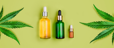 CBD Oils - Everything You Need To Know