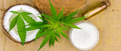 The Complete Guide to CBD Moisturisers: Nourishing Your Skin Naturally