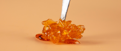 El resumen completo del CBD Shatter &amp; Crumble