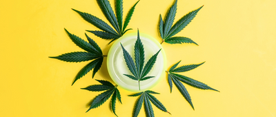 The Complete Guide to CBD Balms: Nature's Soothing Secret