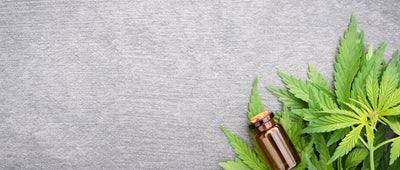 CBD Booster Shots: Enhancing Your Wellness Routine