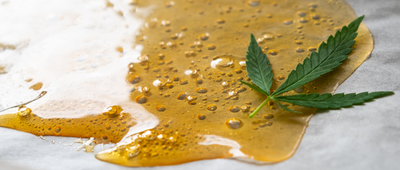 Everything you need to know about CBD Wax