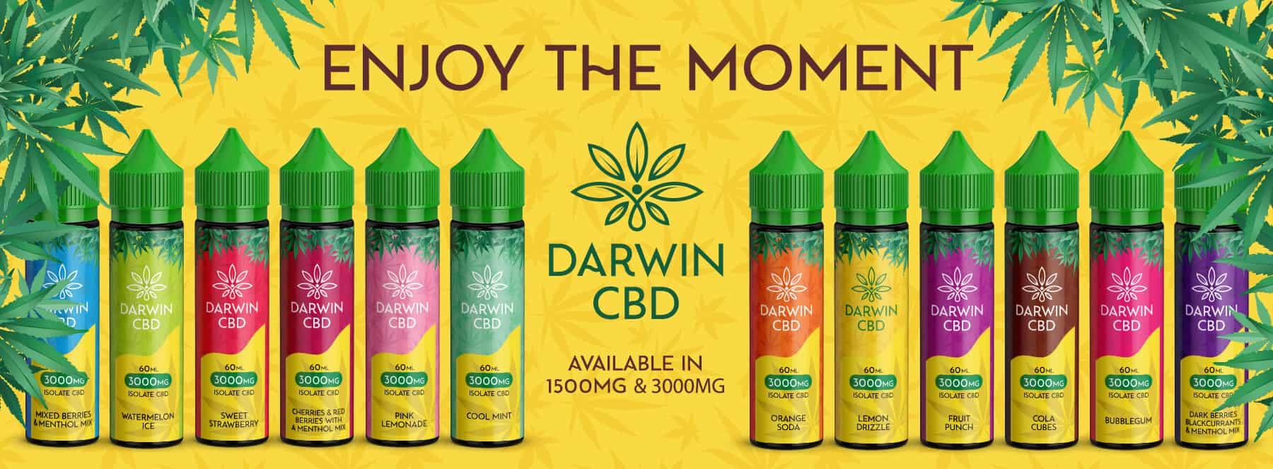 Darwin CBD : le récapitulatif complet de la marque