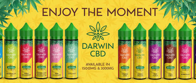 Darwin CBD: The Full Brand Rundown