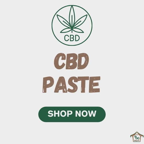 CBD Paste- Shop Now