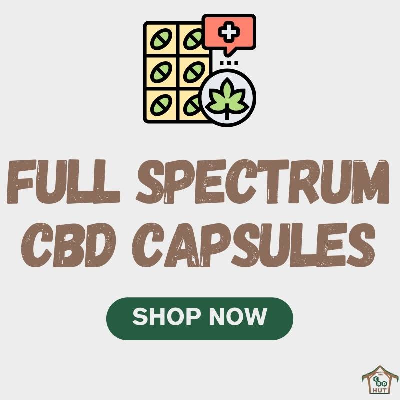 Full Spectrum CBD Capsules - Shop Now