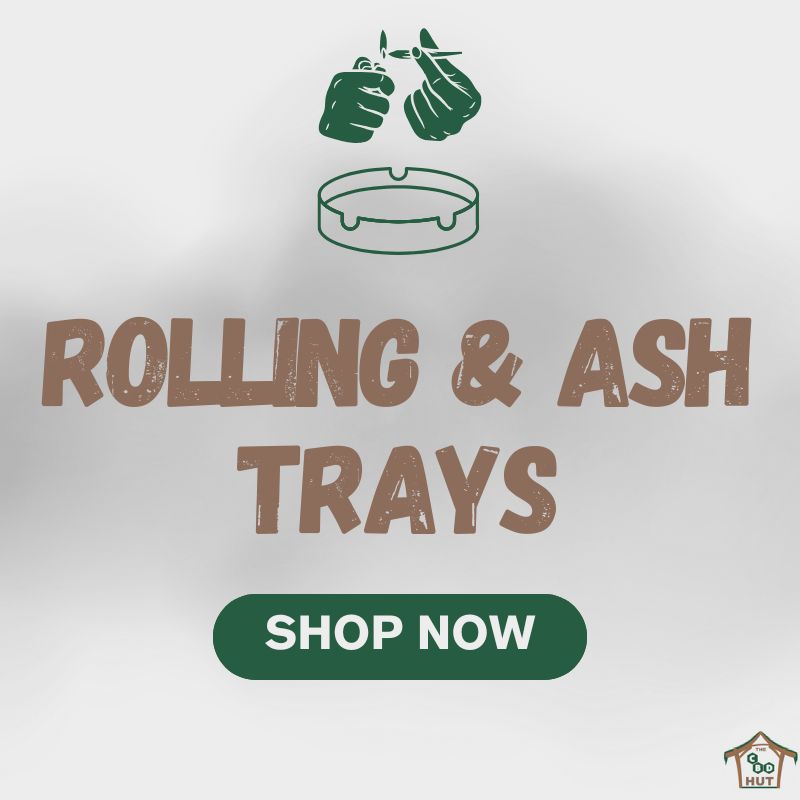 Rolling & Ash Trays - Shop Now