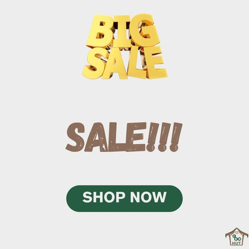 Big Sale - Shop Now