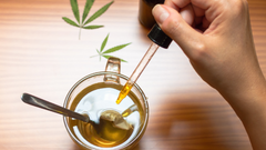 CBD Tea & Coffee: Everything You Need to Know