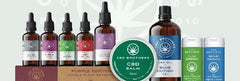 CBD Brothers: The Full Brand Rundown