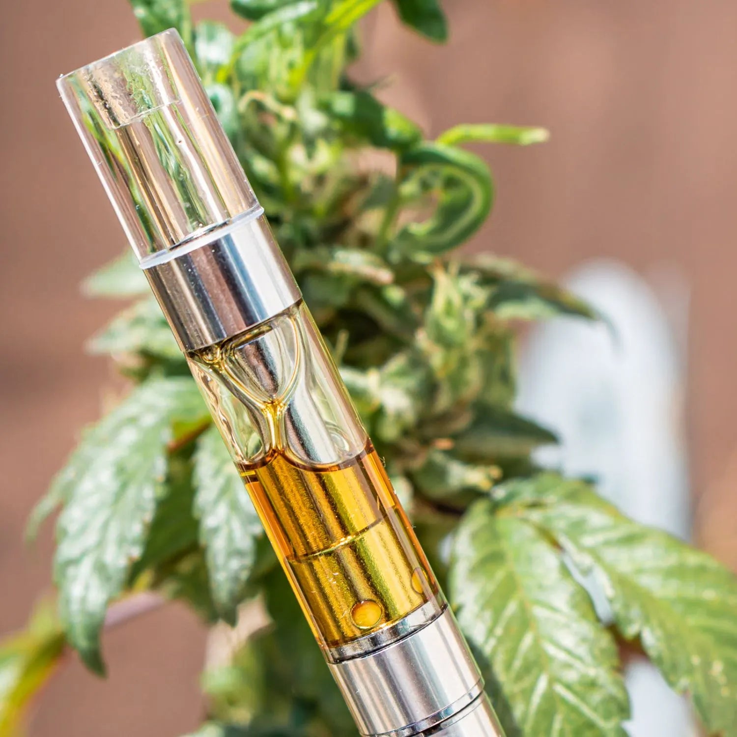 CBD cartridge with CBD plant in background