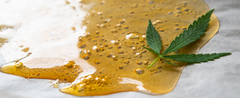 Everything you need to know about CBD Wax