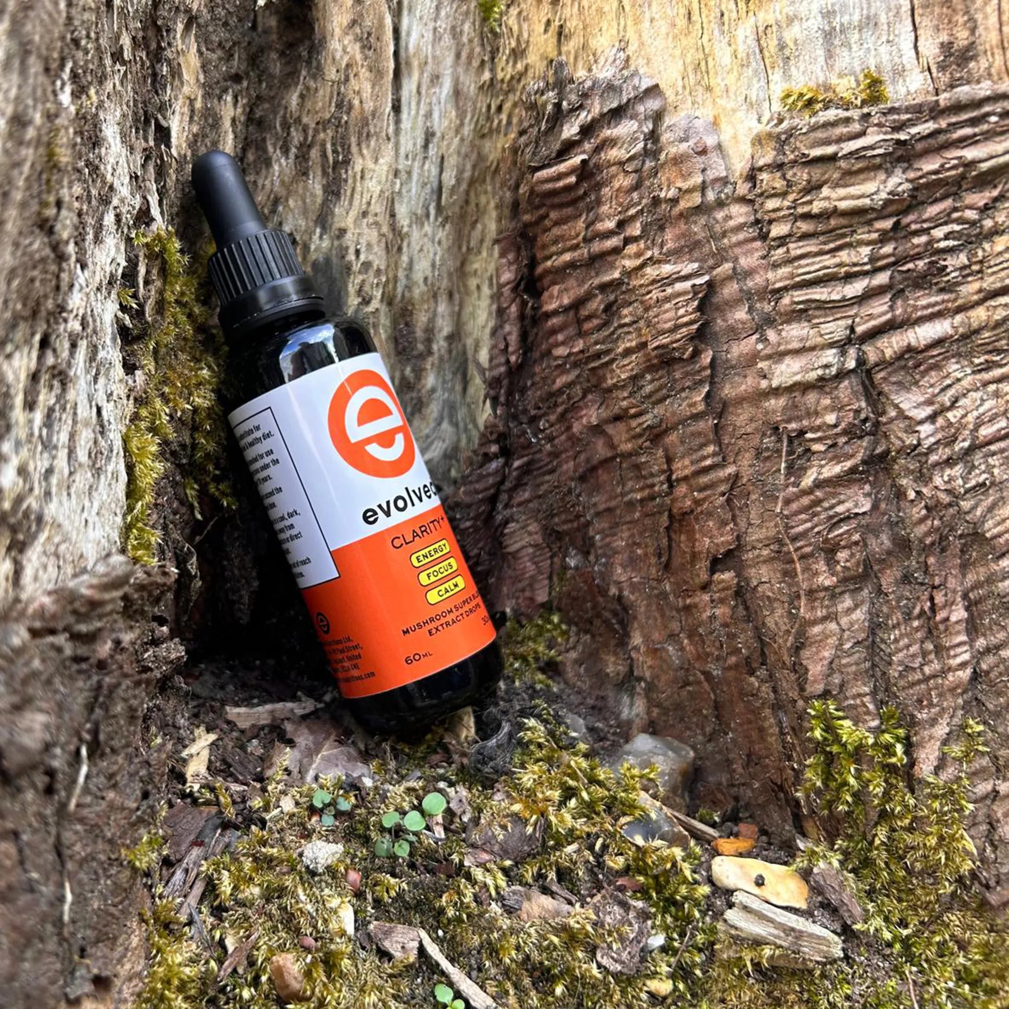 Evolved Daily Clarity+ Mushroom Extract by a tree