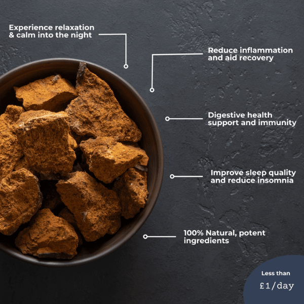 Evolved Daily Balance+ Mushroom Extract Benefits