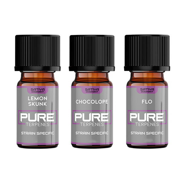 UK Flavour Pure Terpenes Sativa - 5ml - The CBD Hut