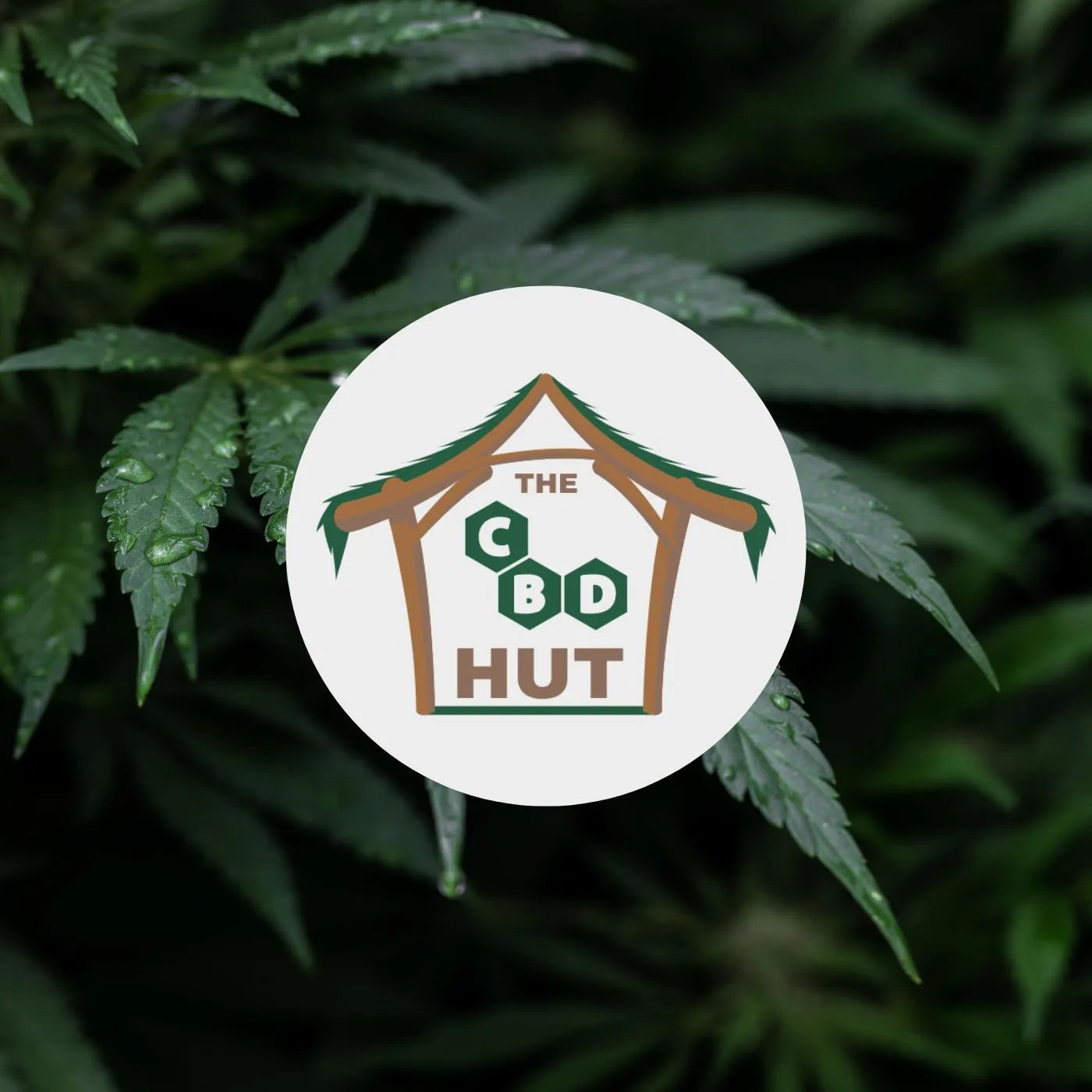 The CBD Hut logo