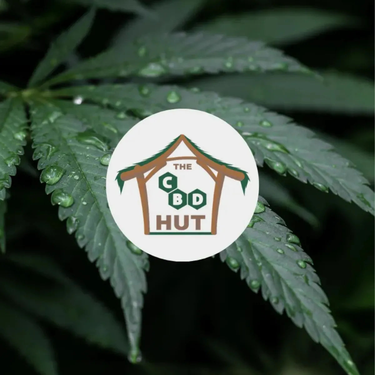 The CBD Hut logo