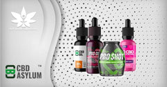 CBD Asylum: The Full Brand Rundown