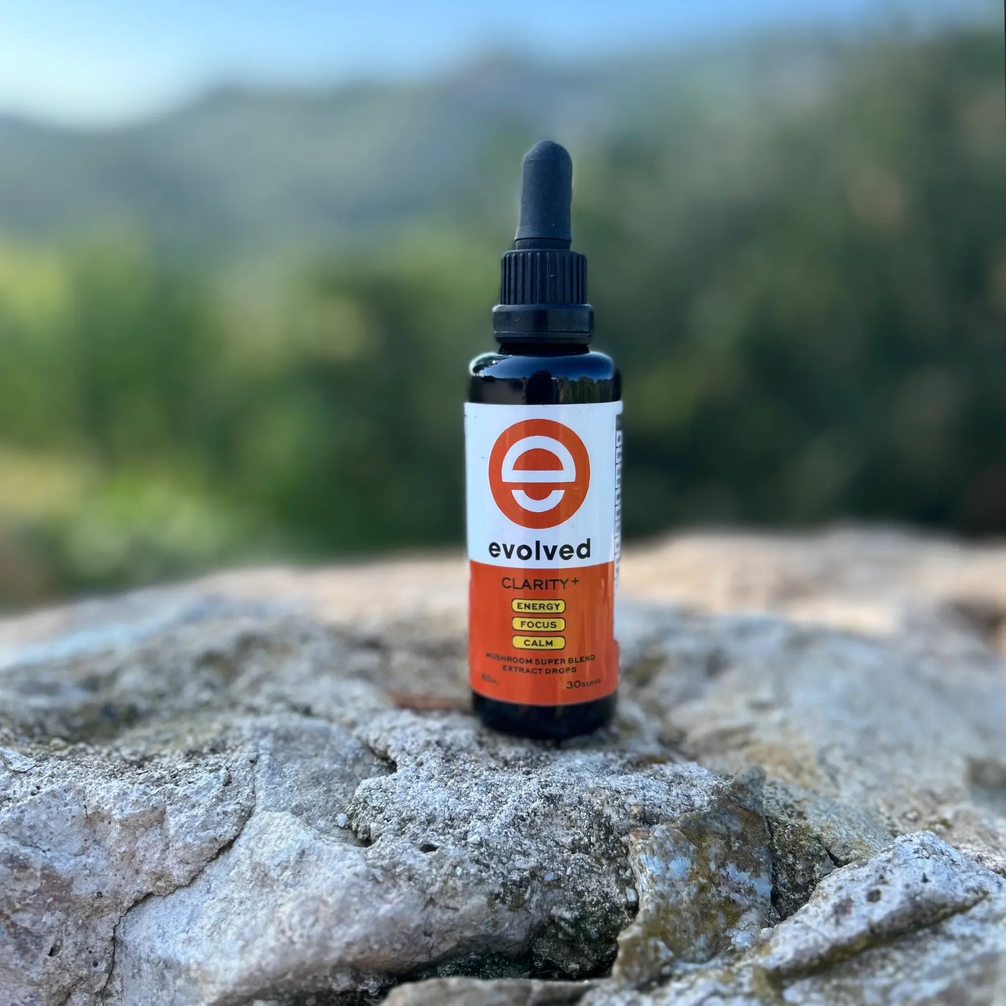 Evolved Daily Clarity+ with Focus Gummies | Bundle