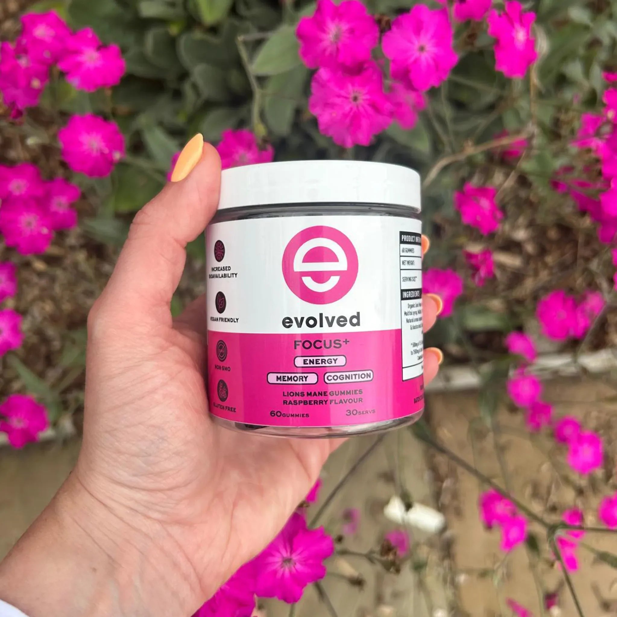 Evolved Daily Clarity+ with Focus Gummies | Bundle with pink plant background