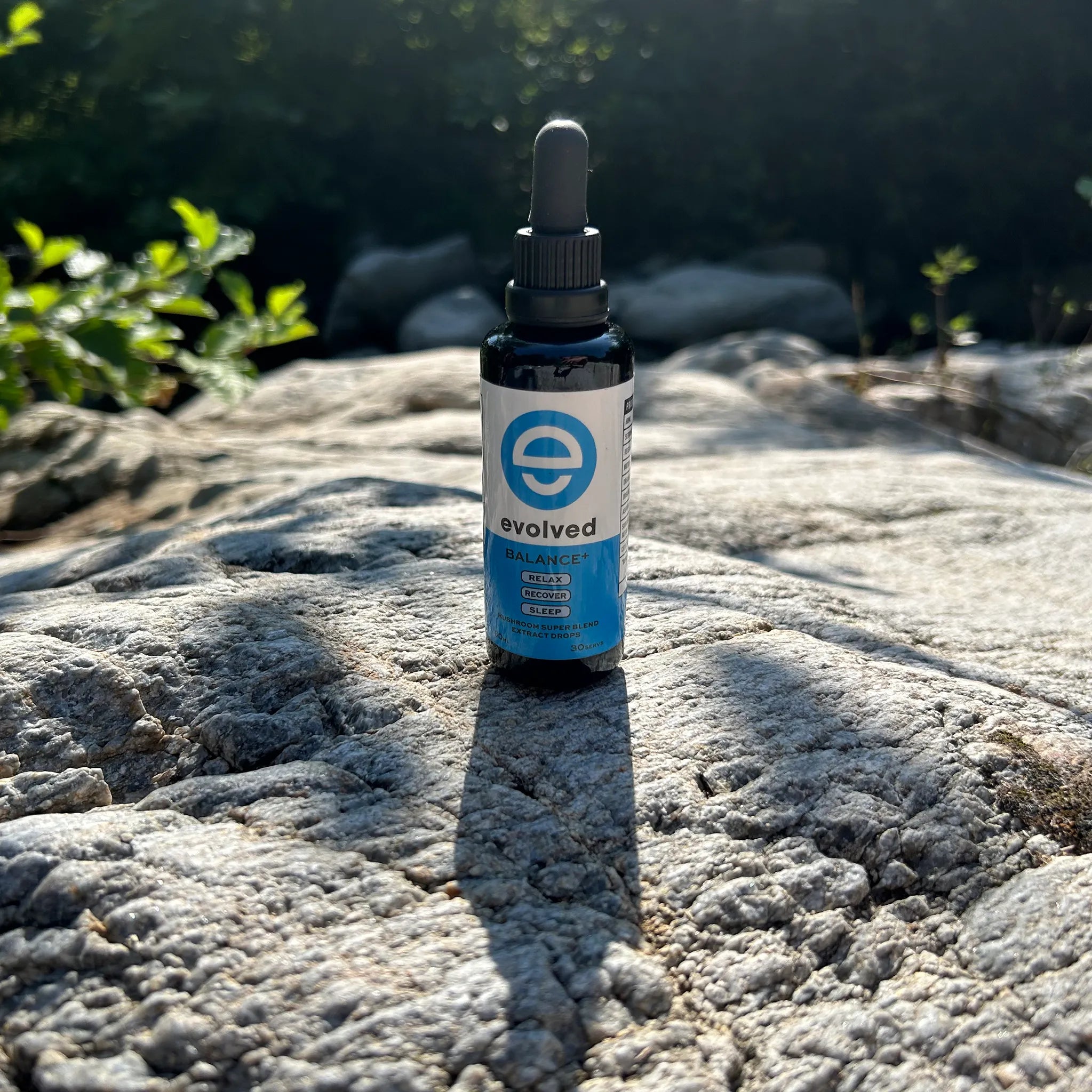 Evolved Tinnitus Calm Mushroom Extract on a rock