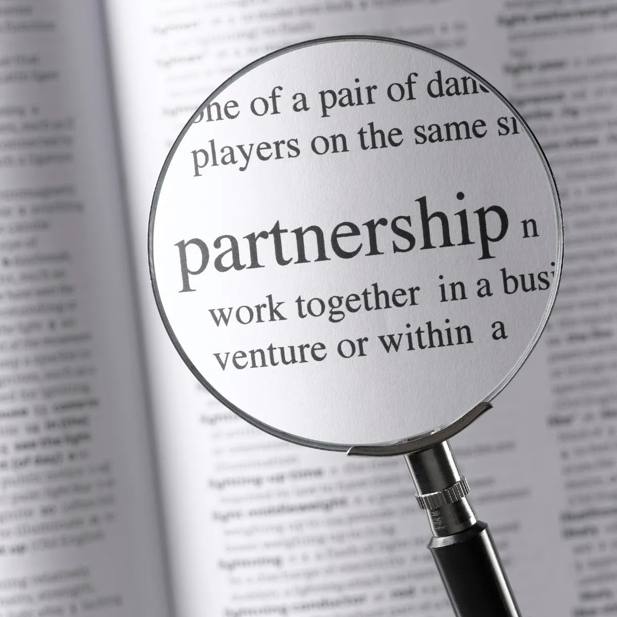 Partnership dictionary definition