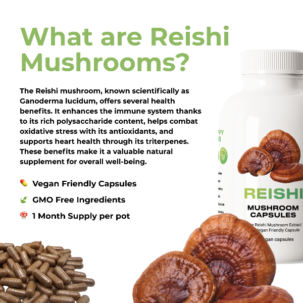 Happy Guys Organic Reishi Mushroom Capsules - Shop Now At The CBD Hut 