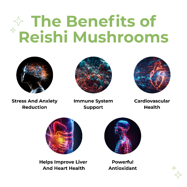 Happy Guys Organic Reishi Mushroom Capsules - Shop Now At The CBD Hut 