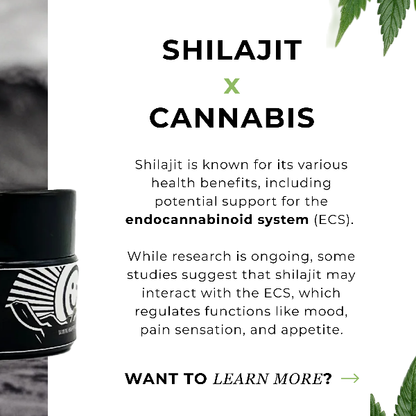 Happy Guys Pure Himalayan Shilajit Resin benefits - Shop Now At The CBD Hut 