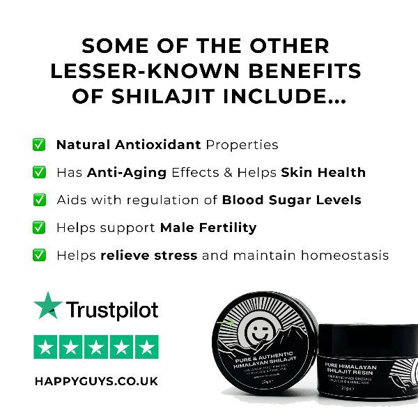 Happy Guys Pure Himalayan Shilajit Resin lesser known benefits - Shop Now At The CBD Hut 